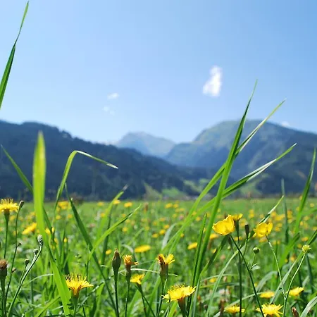 Pensionat Gästehaus Einödberg Mittersill