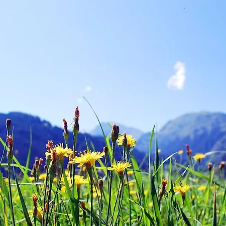 Pensionat Gästehaus Einödberg Mittersill