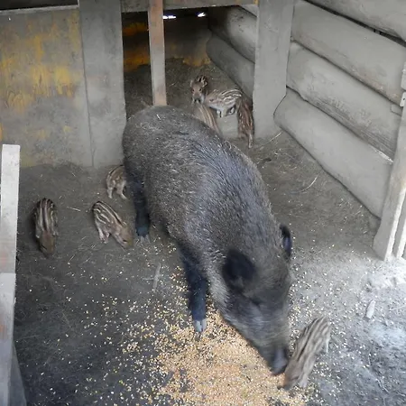 Gästehaus Einödberg